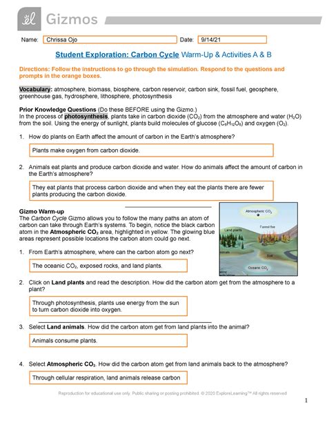 carbon cycle gizmo worksheet answers